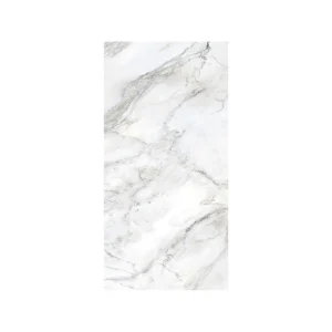 Porcelanto F